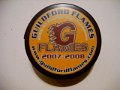 guildford_flames