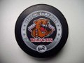 nahl_wichita_falls_wildcats