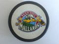 quad_city_mallards