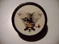 sarnia_sting