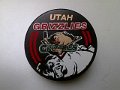 utah_grizzlies