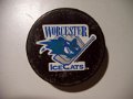 worcester_ice_cats