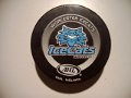 worcester_ice_cats_2