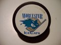 worcester_ice_cats_4